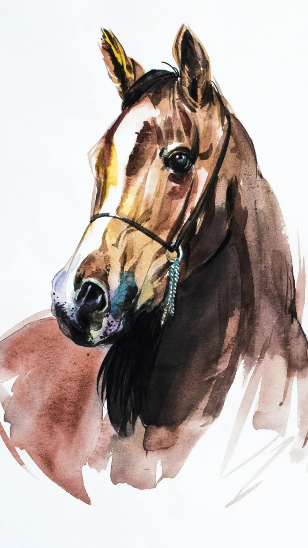 Arabian Horse Portrait