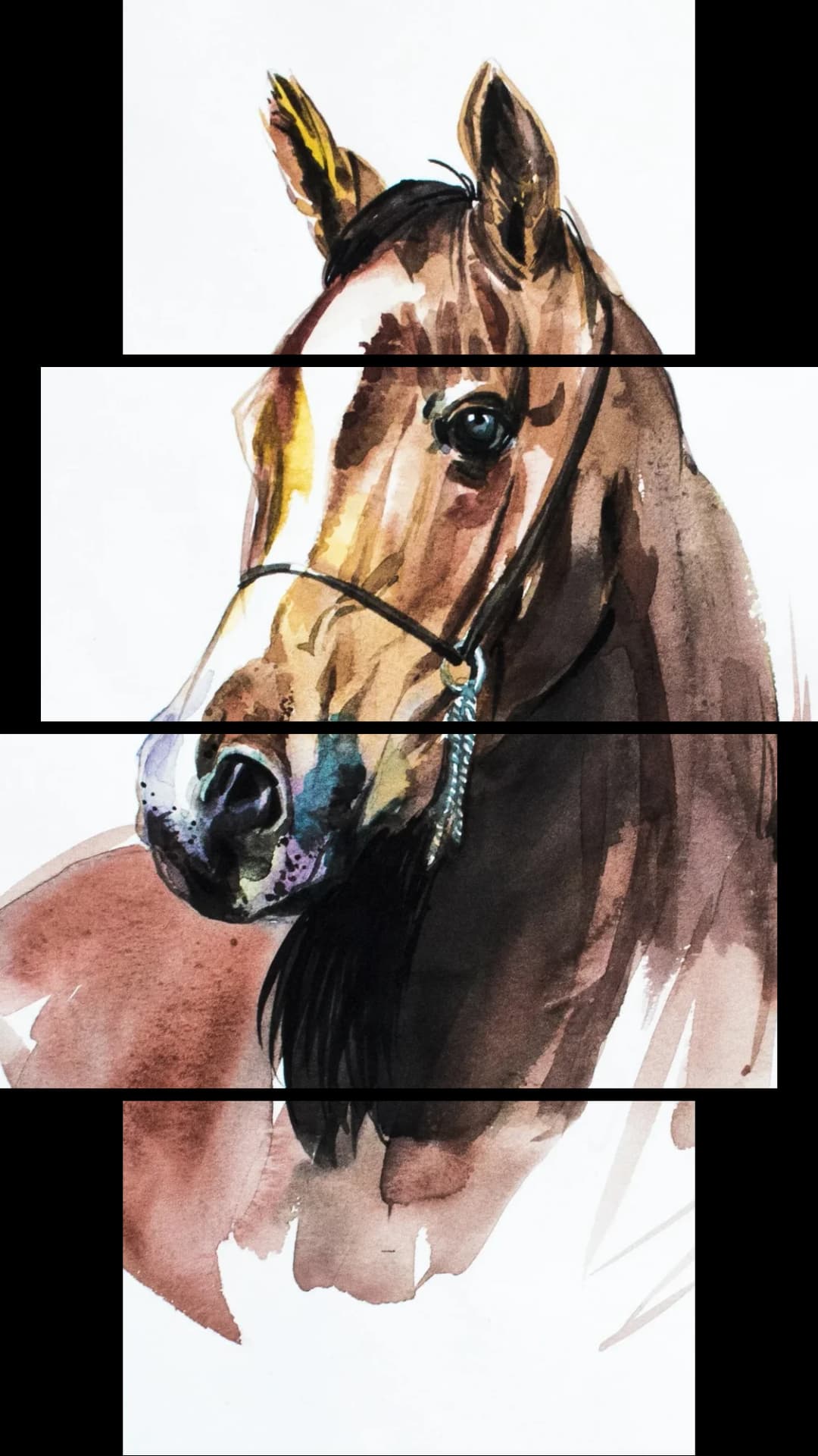 Arabian Horse Portrait – 4 Panels