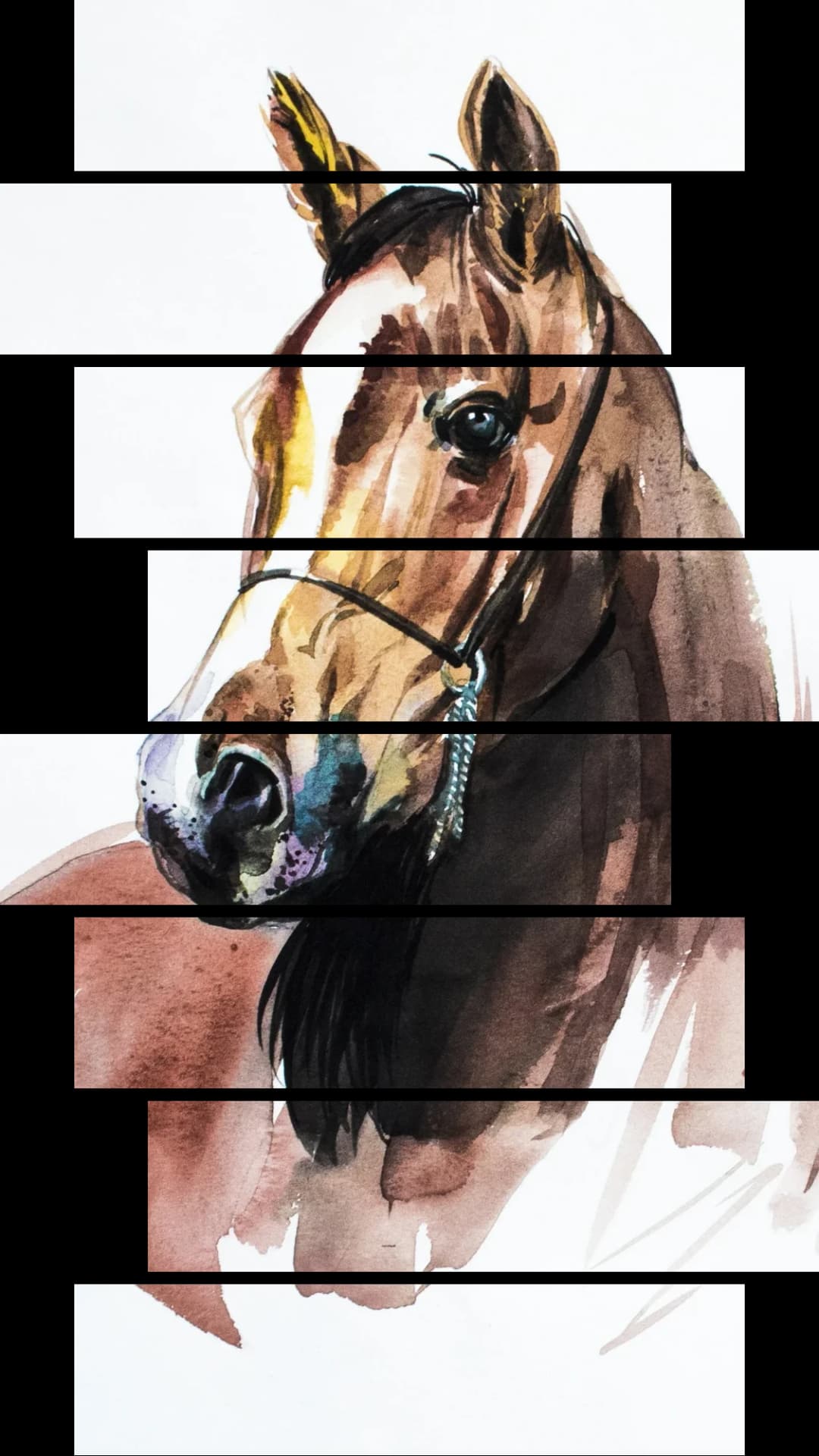 Arabian Horse Portrait – 8 Panels Hierarchy