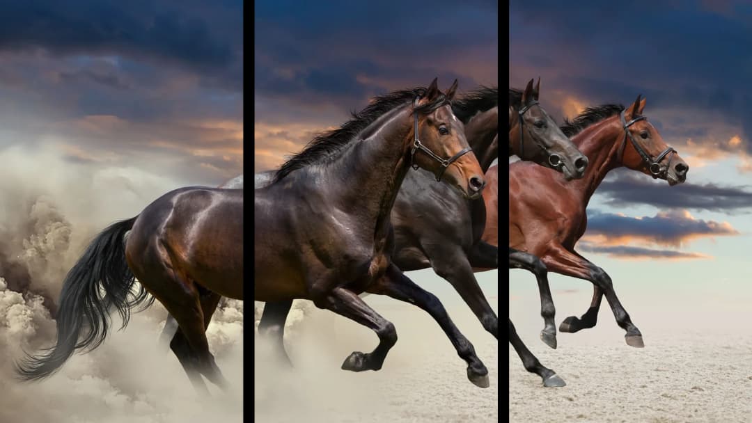 Bay Horses Desert Storm – 3 Panels