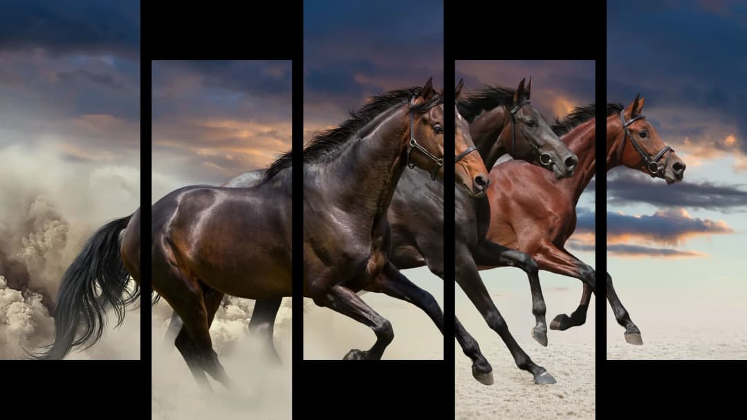Bay Horses Desert Storm – 5 Panels Up & Down