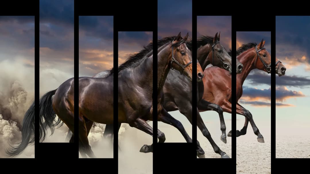 Bay Horses Desert Storm – 8 Panels Hierarchy