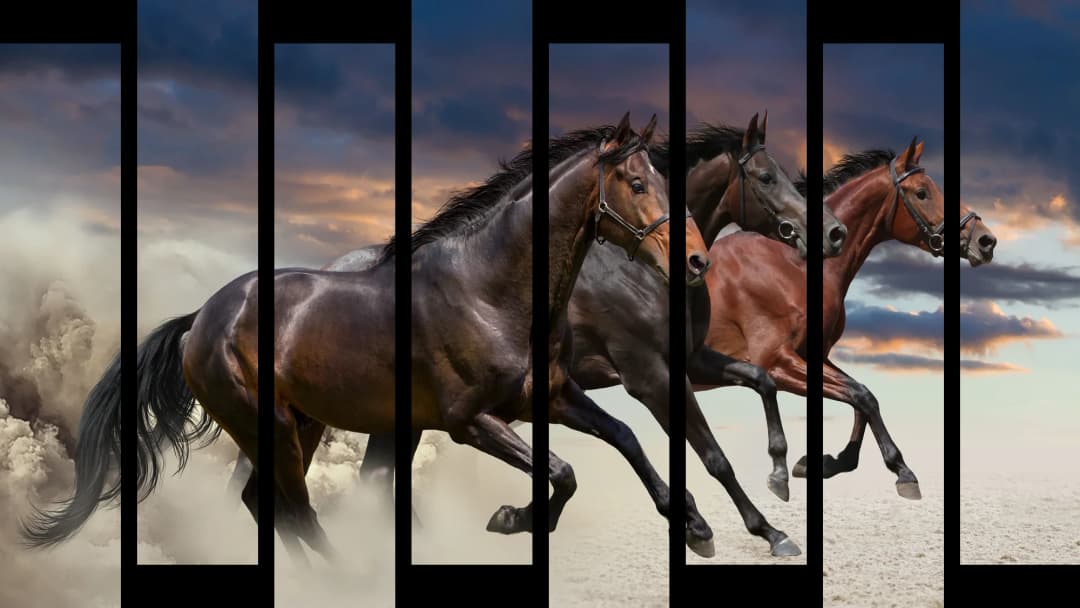 Bay Horses Desert Storm – 8 Panels Up & Down