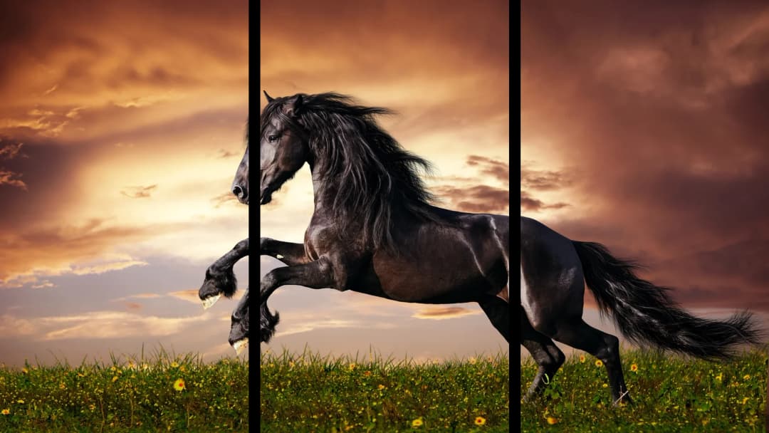 Black Horse Sunset – 3 Panels