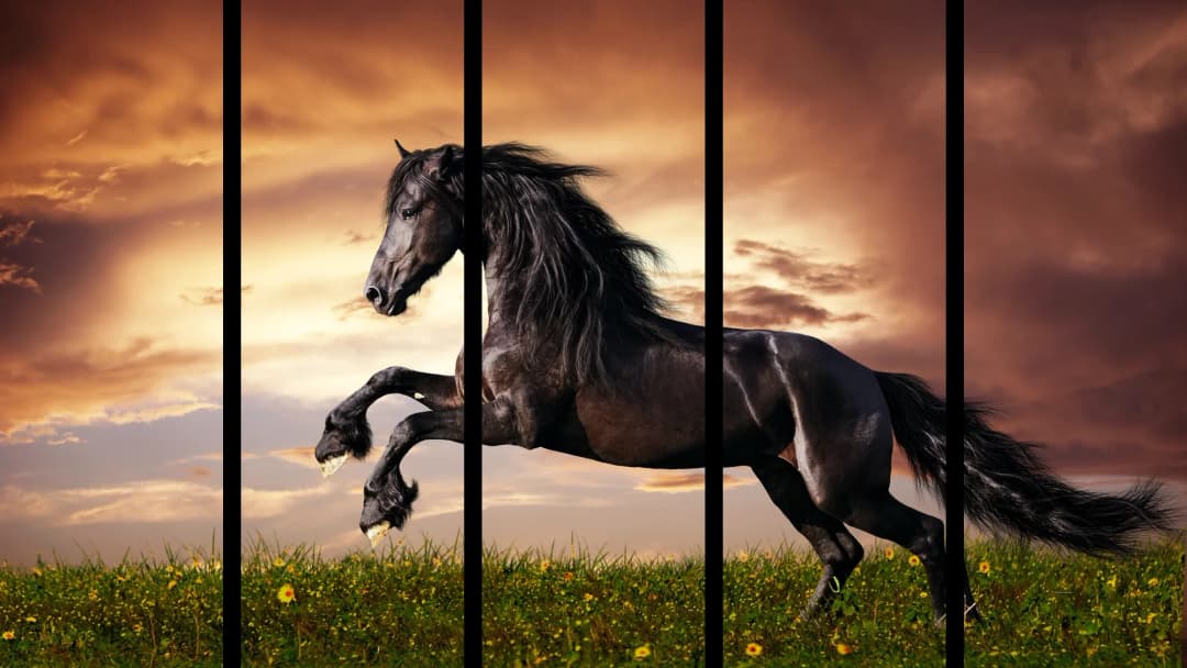 Black Horse Sunset – 5 Panels Straight