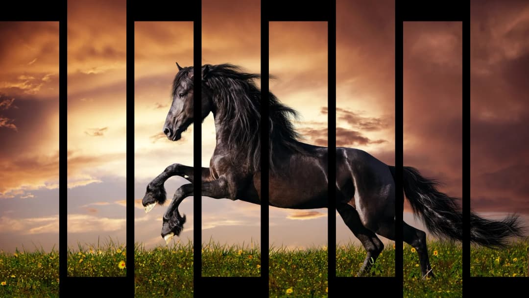 Black Horse Sunset – 8 Panels Up & Down