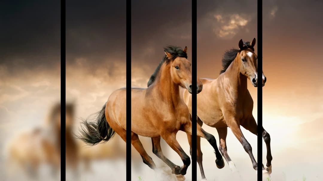 Buckskin Horses Running – 5 Panels Straight