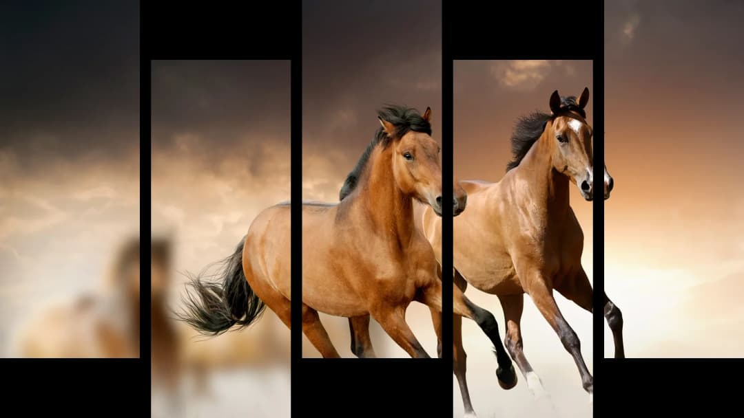 Buckskin Horses Running – 5 Panels Up & Down
