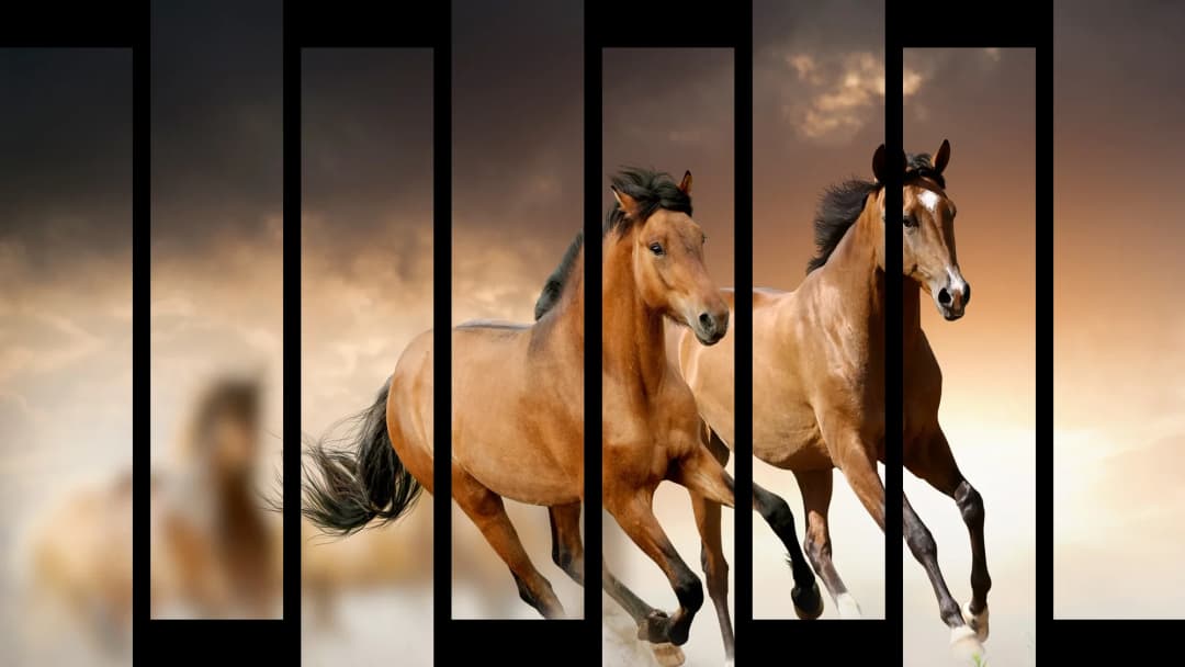 Buckskin Horses Running – 8 Panels Up & Down