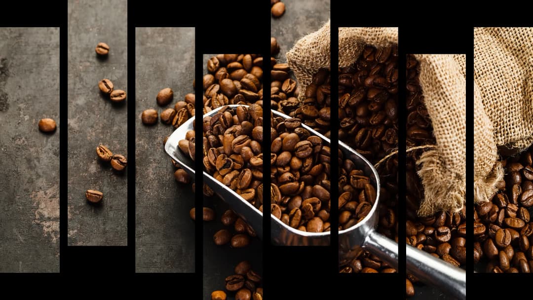 Burlap Sack Coffee Beans – 8 Panels Hierarchy