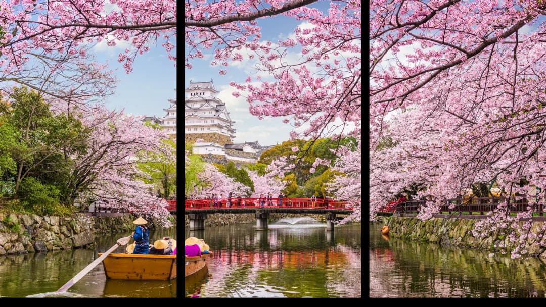 Japanese Cherry Blossom Castle – 3 Panels