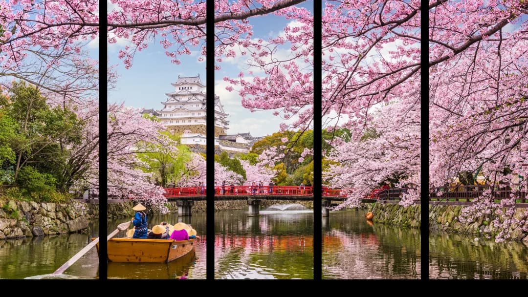 Japanese Cherry Blossom Castle – 5 Panels Straight