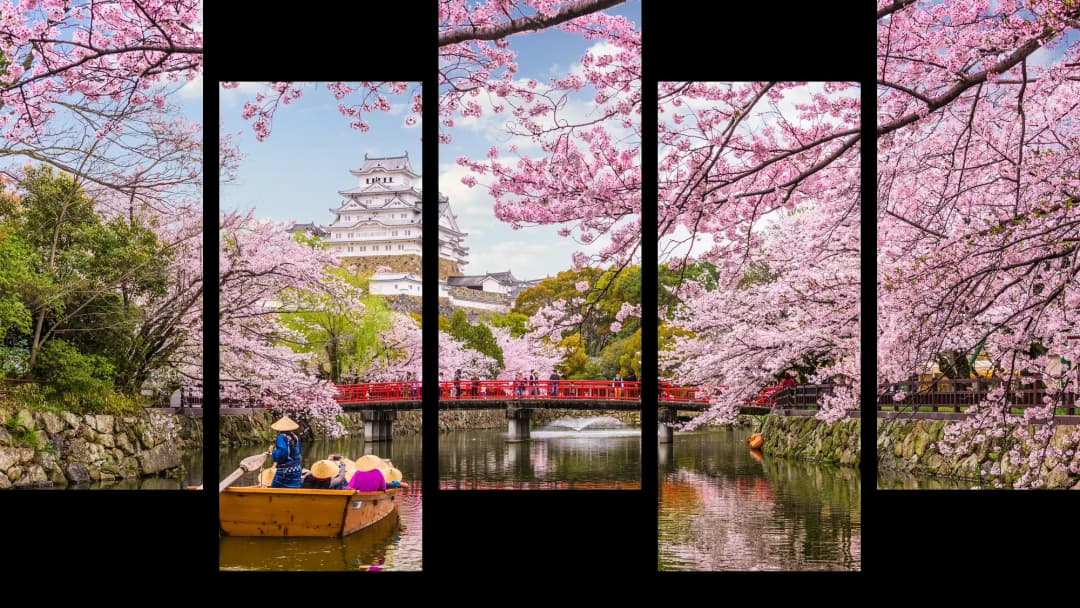 Japanese Cherry Blossom Castle – 5 Panels Up & Down