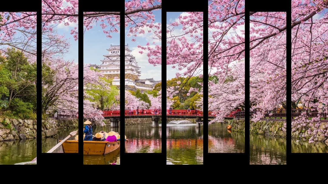 Japanese Cherry Blossom Castle – 8 Panels Up & Down