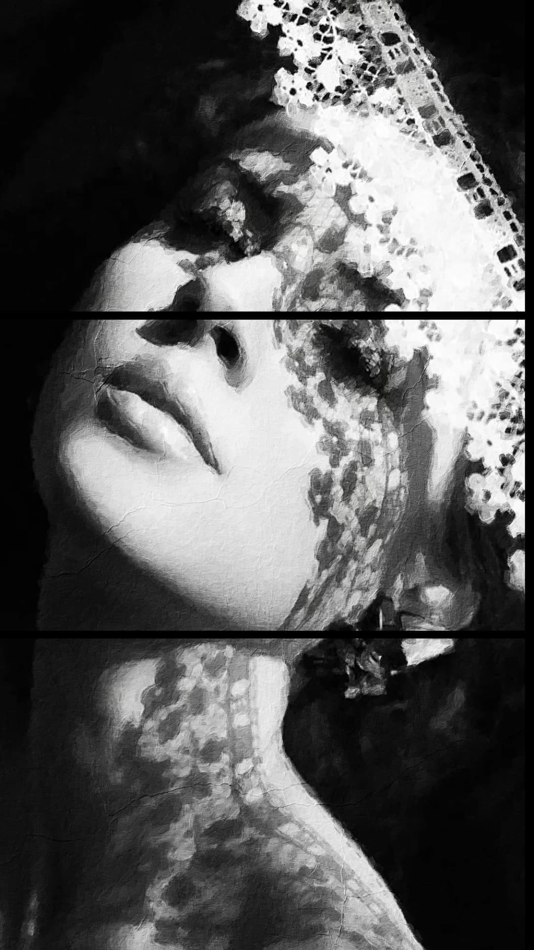 Lace Veil Portrait – 3 Panels
