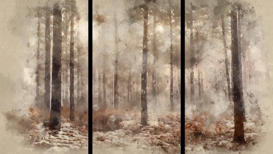 Misty Pine Forest – 3 Panels