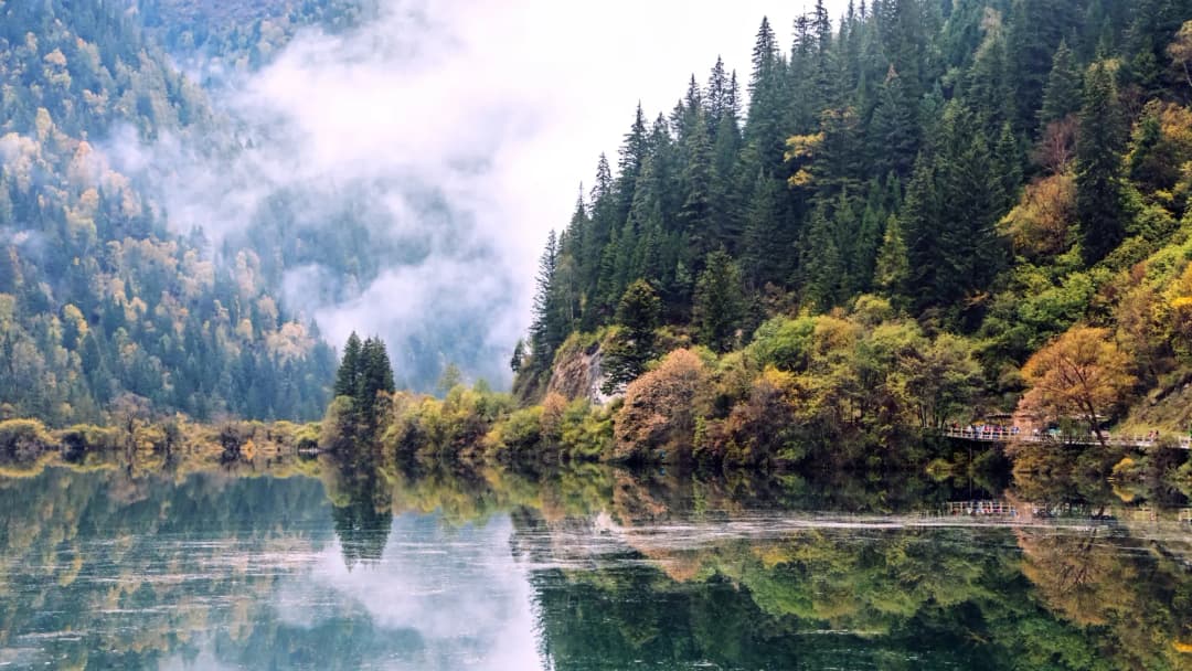 Mountain Forest Lake Reflection