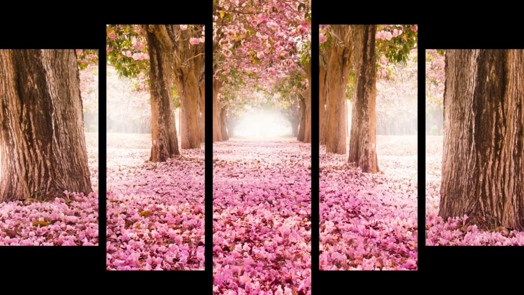 Pink Blossom Path – 5 Panels Hierarchy