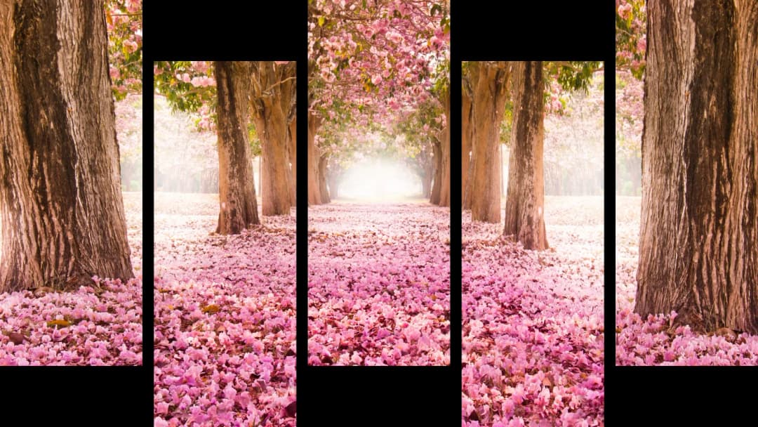 Pink Blossom Path – 5 Panels Up & Down