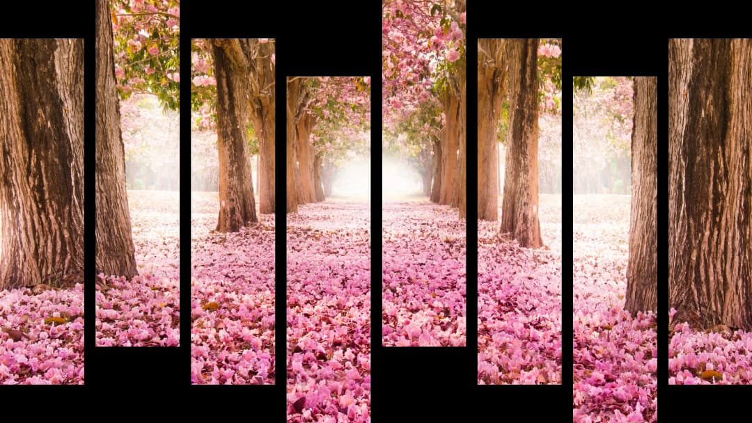 Pink Blossom Path – 8 Panels Hierarchy