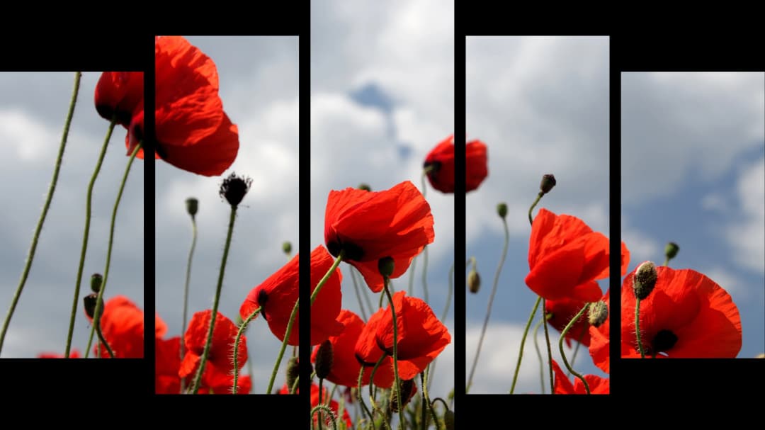 Red Poppies Sky – 5 Panels Hierarchy