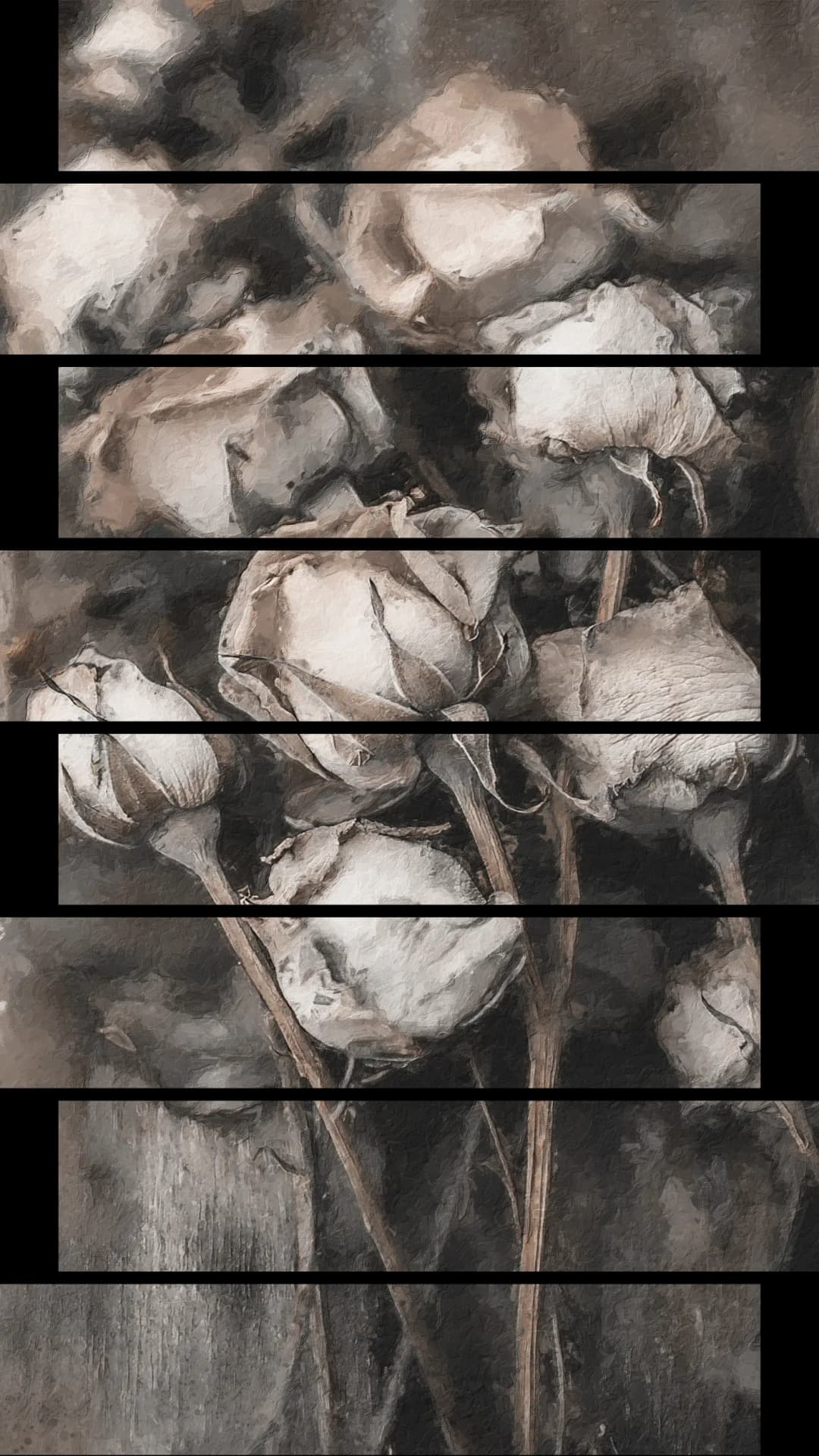 Sepia Dried Roses – 8 Panels Up & Down