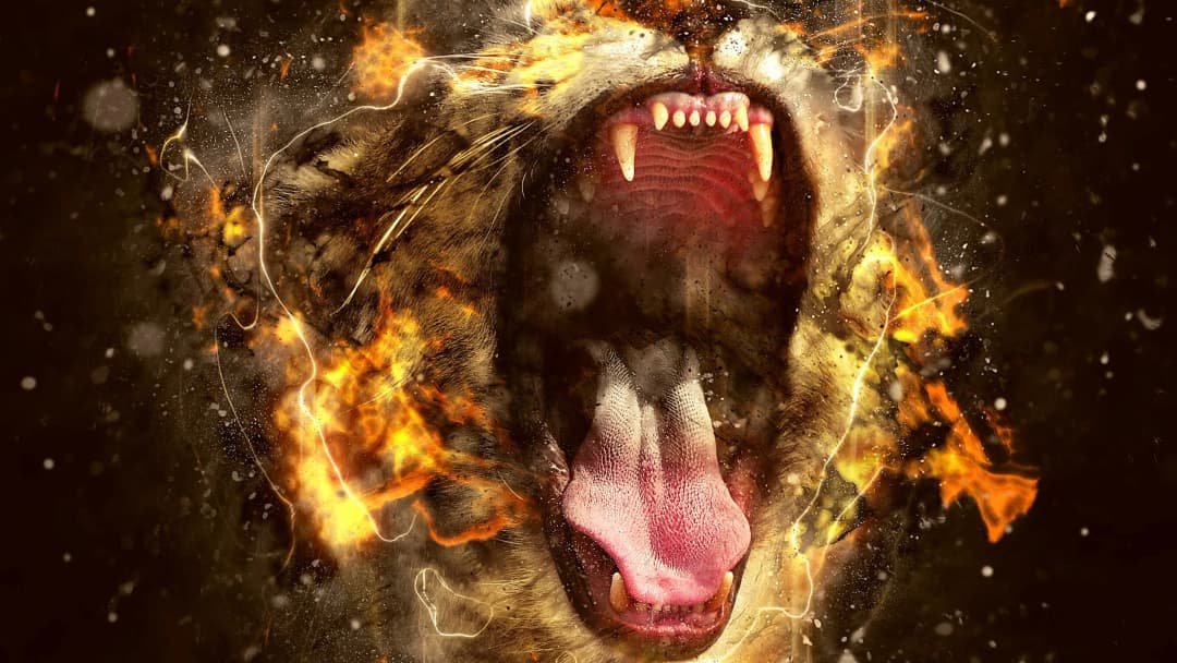 Tiger in Flames
