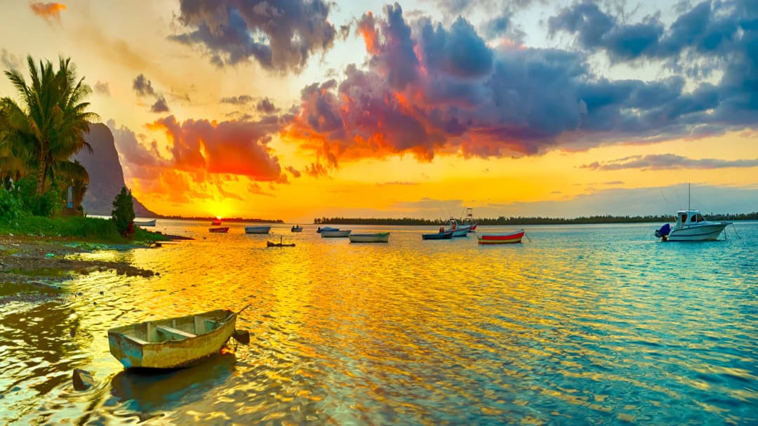 Tropical Harbor Sunset