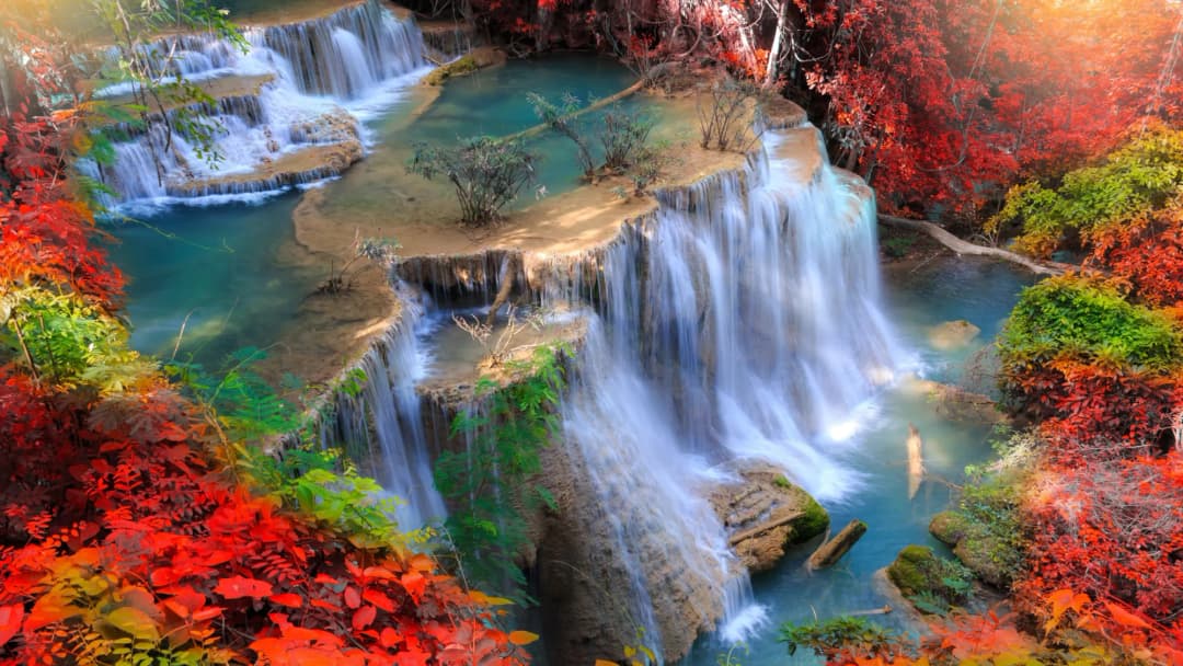 Tropical Waterfall Autumn Forest
