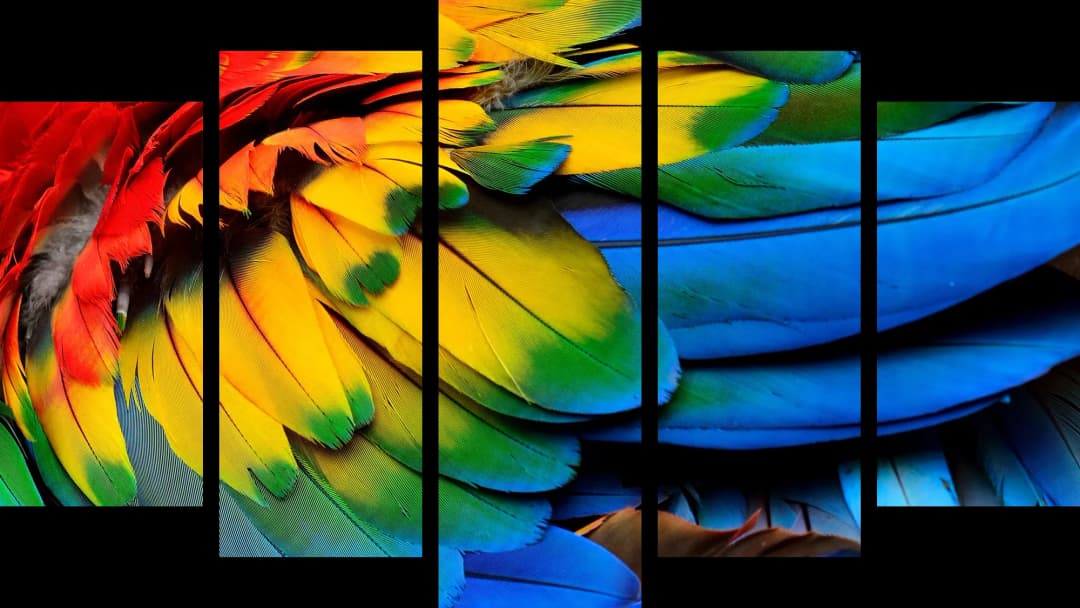 Vibrant Macaw Feathers – 5 Panels Hierarchy