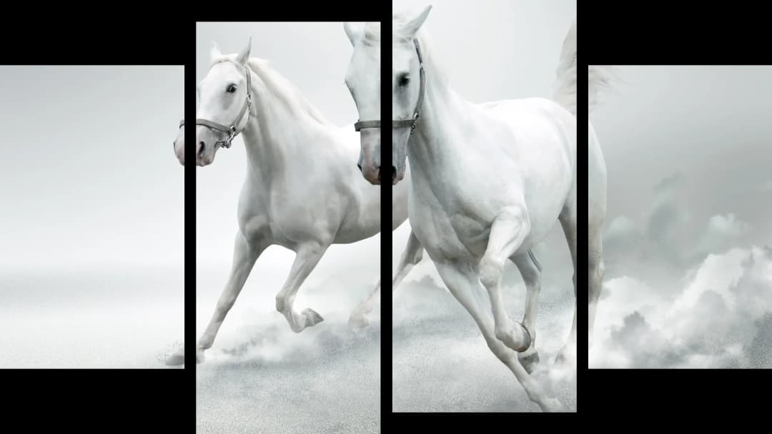 White Arabian Horses – 4 Panels