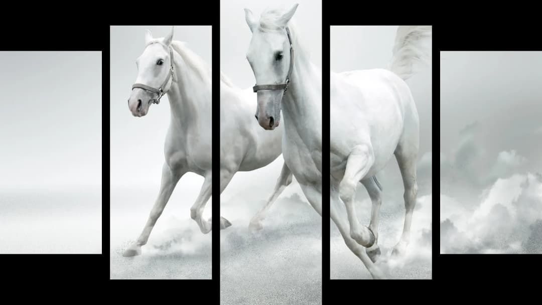 White Arabian Horses – 5 Panels Hierarchy