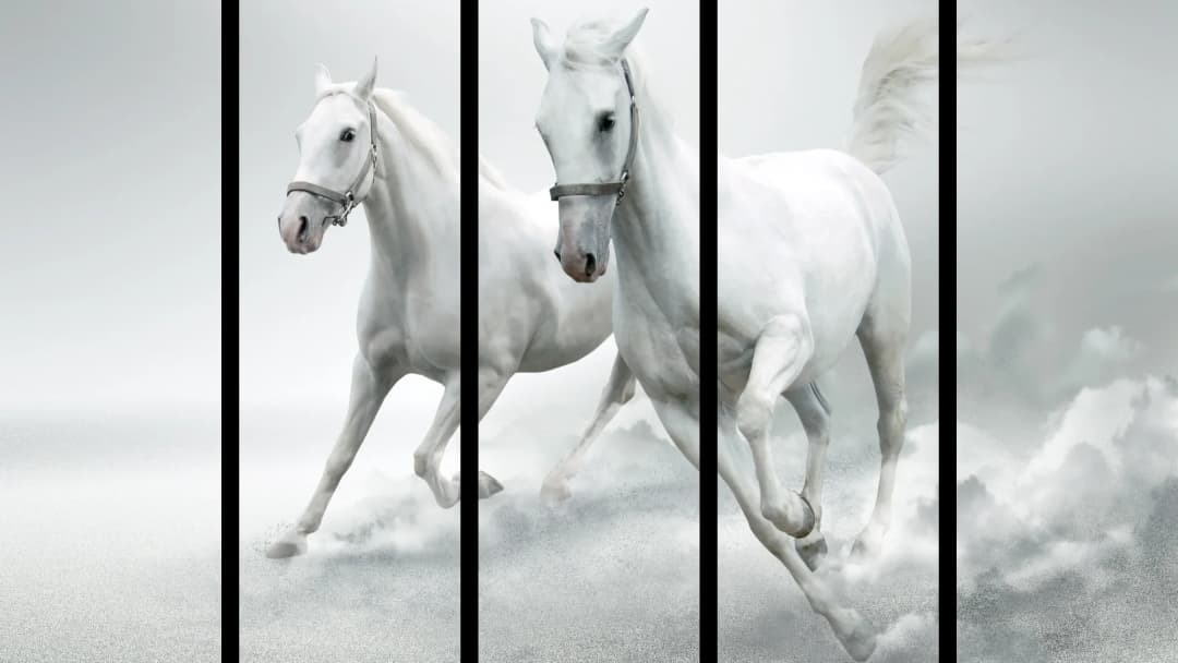 White Arabian Horses – 5 Panels Straight