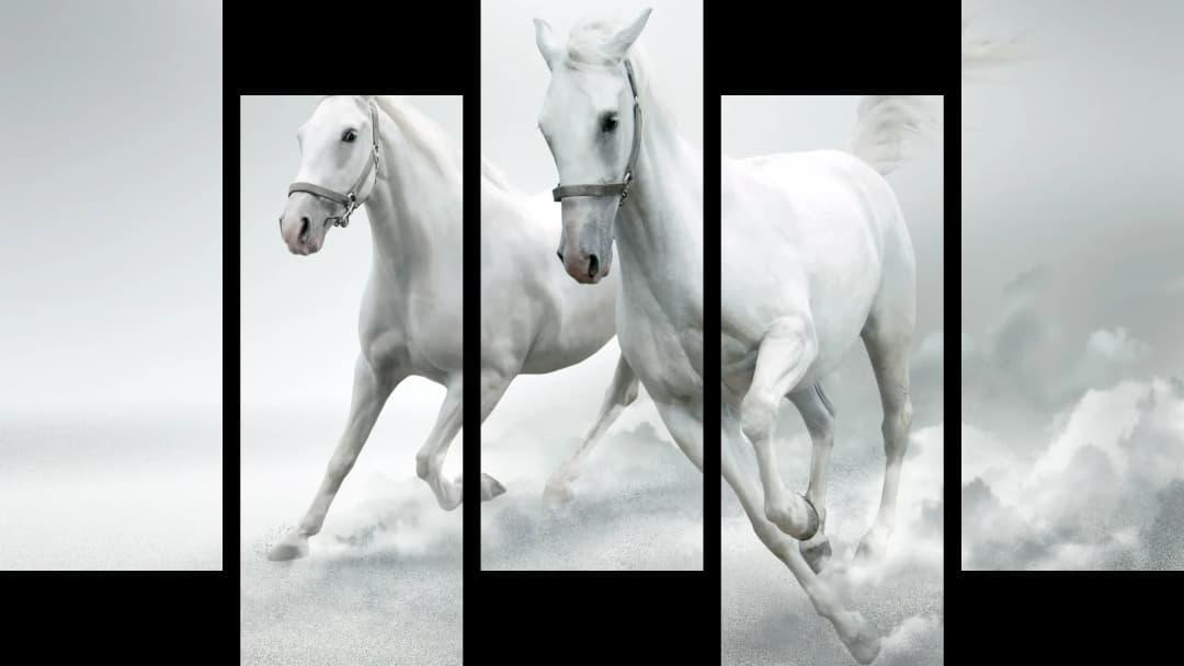 White Arabian Horses – 5 Panels Up & Down