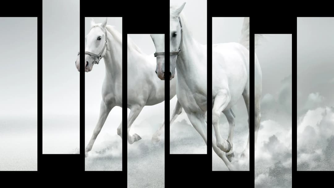 White Arabian Horses – 8 Panels Hierarchy