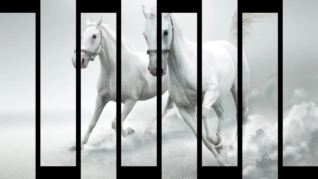 White Arabian Horses – 8 Panels Up & Down