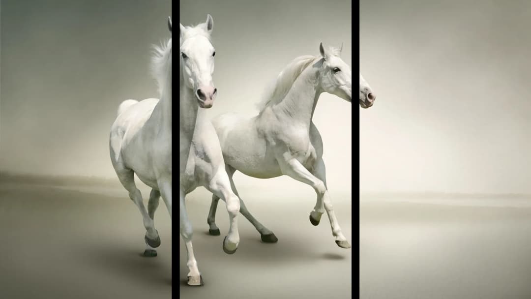 White Horses in Mist – 3 Panels