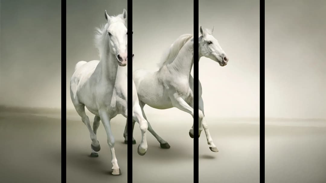 White Horses in Mist – 5 Panels Straight