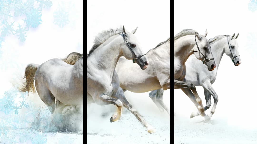 White Horses Winter – 3 Panels