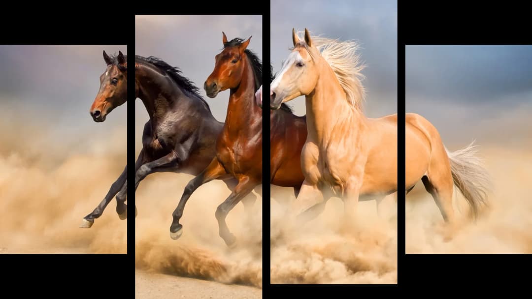 Wild Desert Horses – 4 Panels