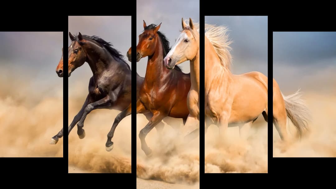 Wild Desert Horses – 5 Panels Hierarchy