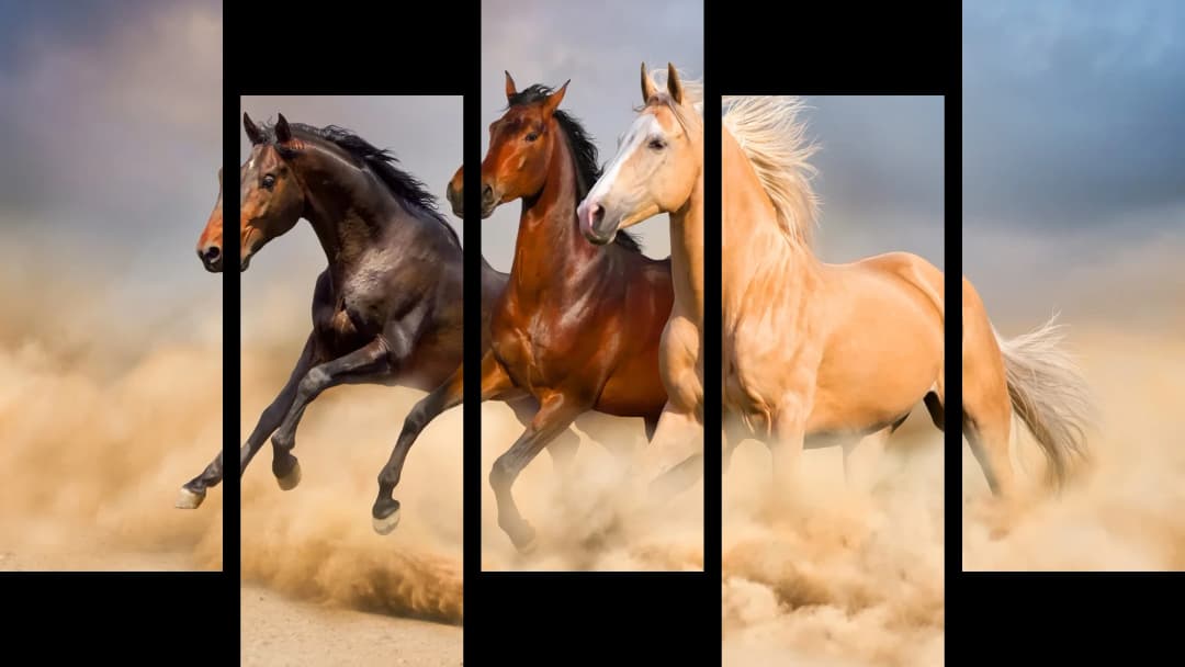 Wild Desert Horses – 5 Panels Up & Down