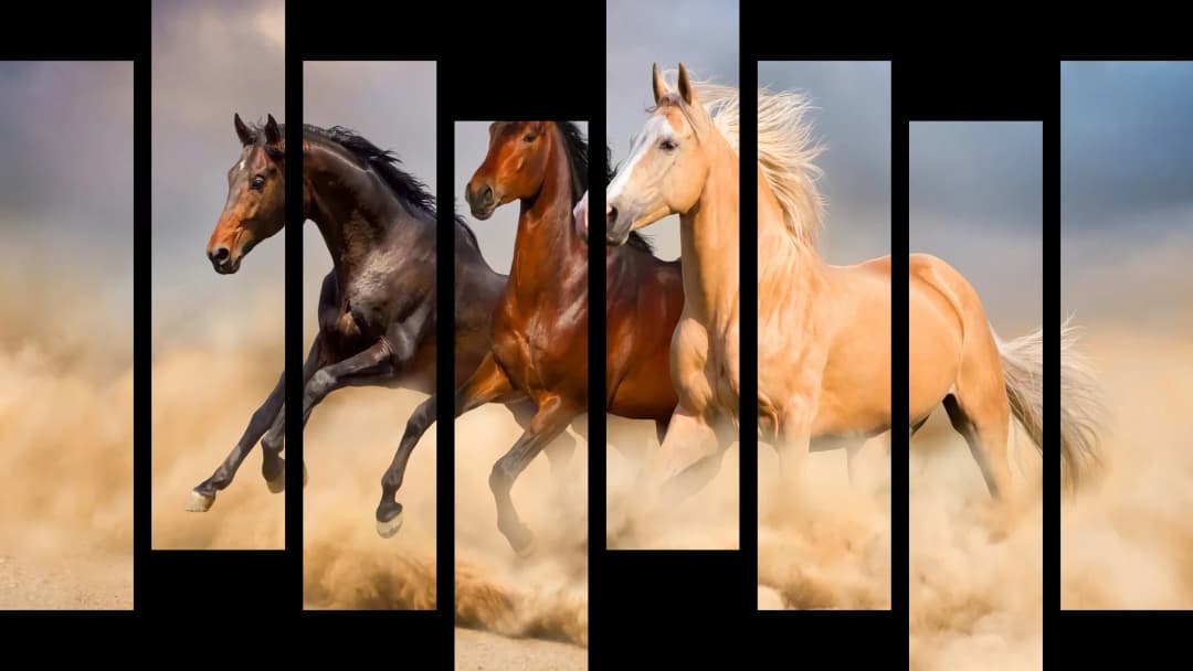 Wild Desert Horses – 8 Panels Hierarchy