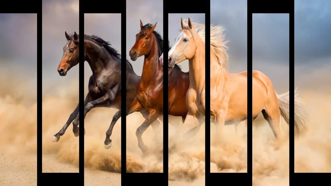 Wild Desert Horses – 8 Panels Up & Down