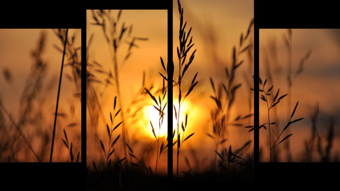 Wild Grass Sunset Silhouette – 4 Panel