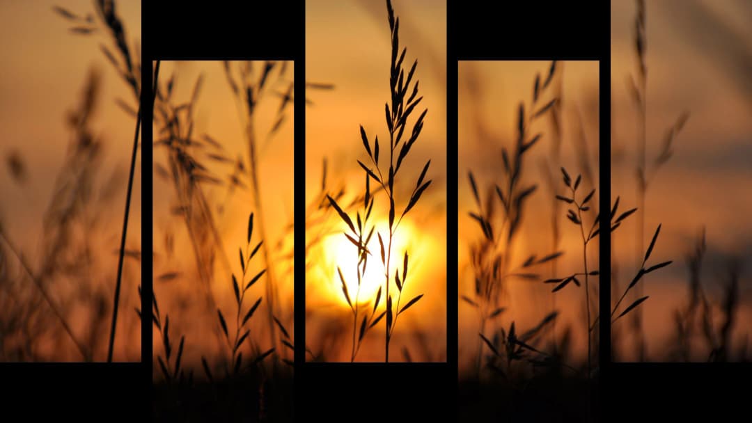 Wild Grass Sunset Silhouette – 5 Panels Up & Down