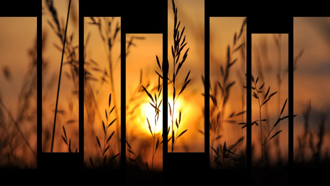 Wild Grass Sunset Silhouette – 8 Panels Hierarchy