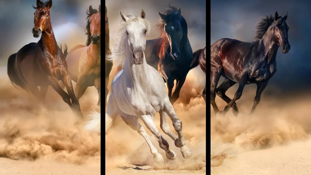 Wild Horses Stampede – 3 Panels