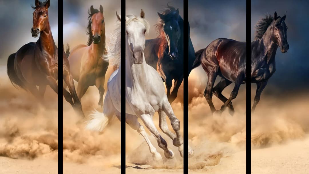 Wild Horses Stampede – 5 Panels Straight