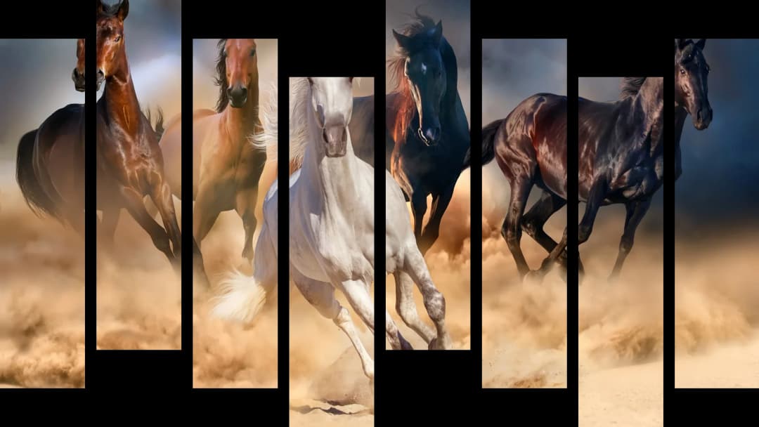 Wild Horses Stampede – 8 Panels Hierarchy